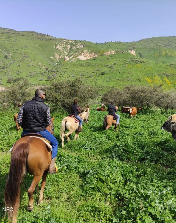 תמונה של חוות שביט: דוהרים בתקופה הכי נעימה בשנה - למטייל בישראל (טיולי)